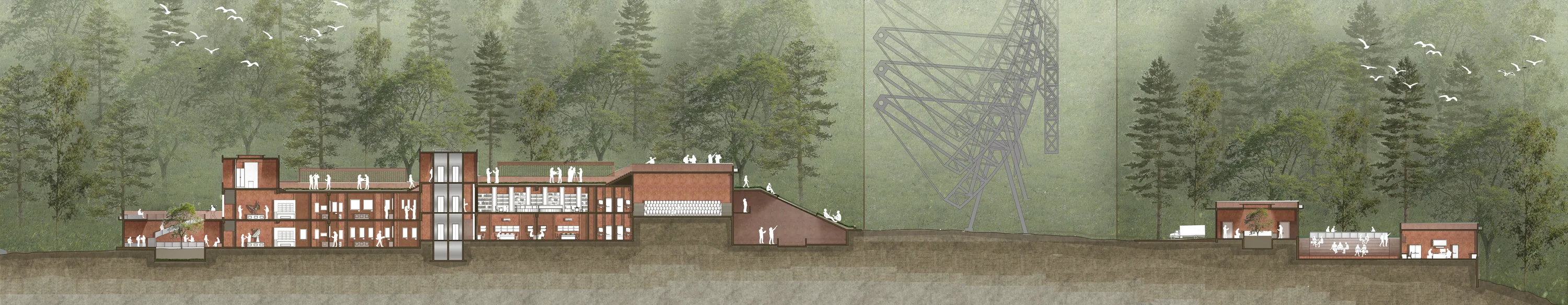 Section AA through the Radio Astronomy Centre in Ooty, stepping down the hillside under a misty pine forest
